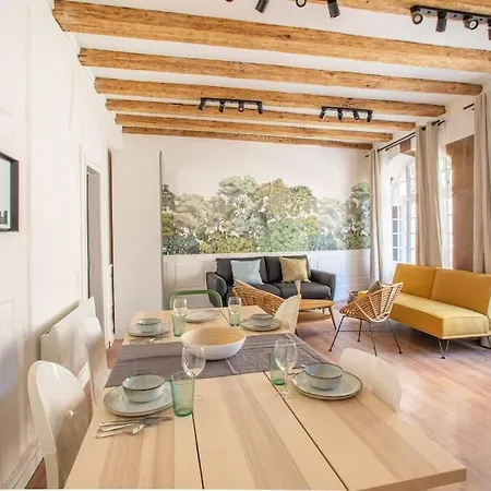 La Halte Strasbourgeoise - Superbe Appt Pres De La Petite France Appartement
